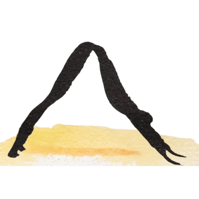 yogi 400 x 400