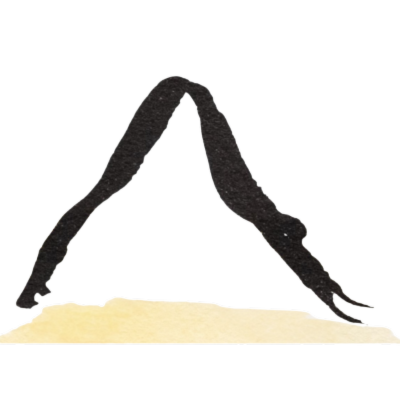 illustrated figure in down facing dog Scaravelli inspired yoga with erling