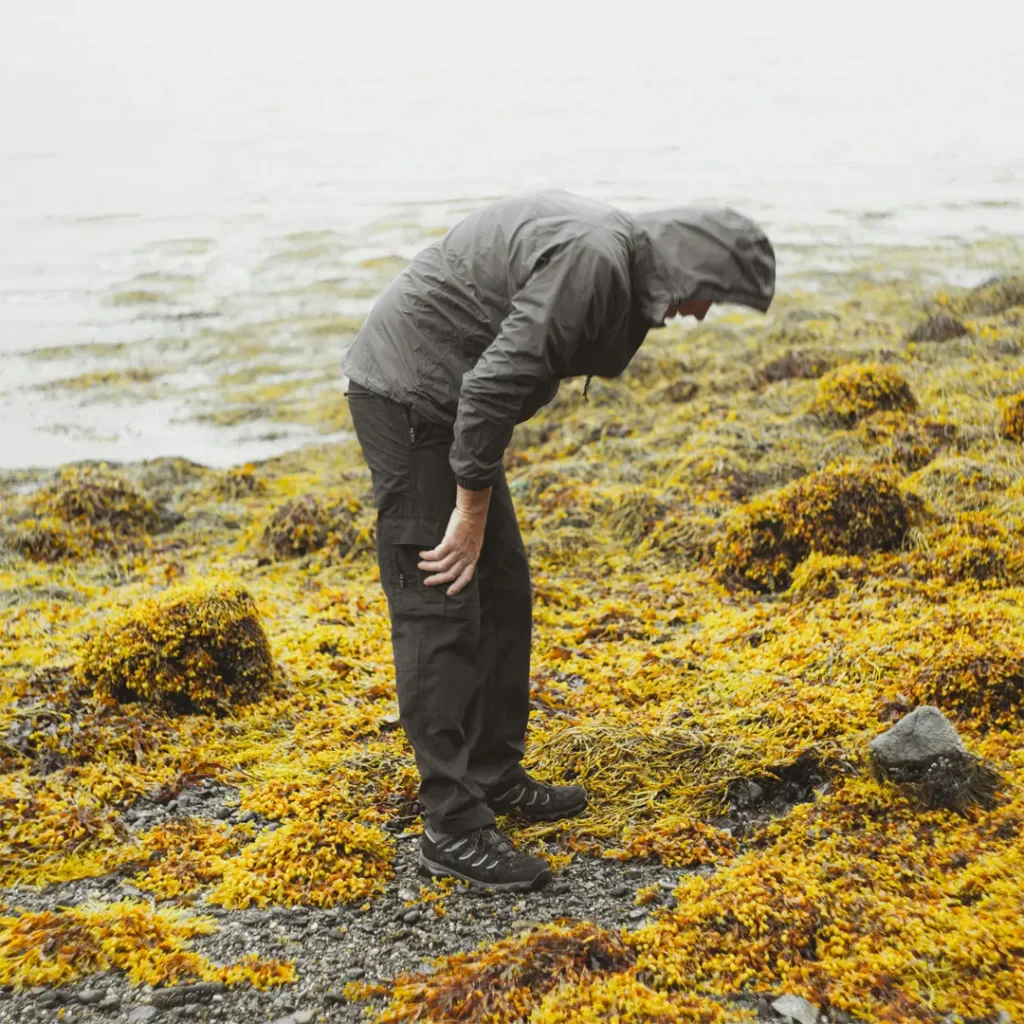 man bending forwards looking at seaweed, for a article on yoga poses